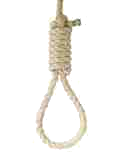File:HangTheDJ small.png