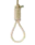 HangTheDJ small.png