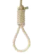 HangTheDJ small.png
